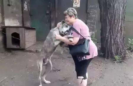 狗狗流浪2年，奇跡尋回主人，沖進熟悉懷抱大哭：怎麼現在才來找人家…… 萌趣萌寵 第1张
