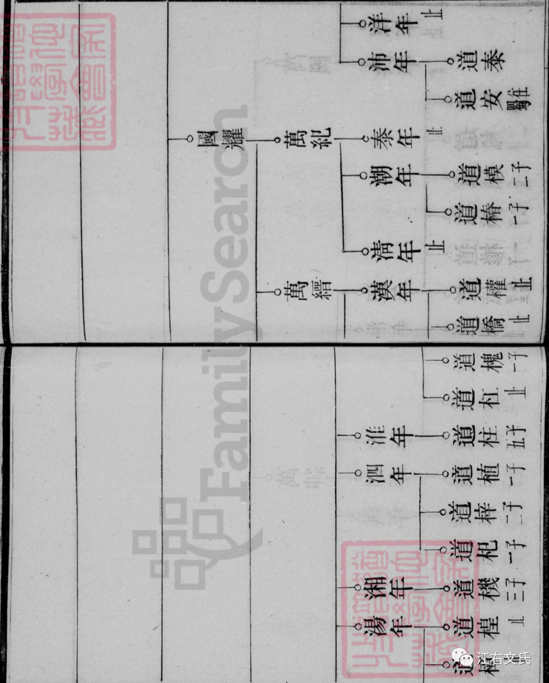 【文氏族谱】湖南上湘龙潭文氏家谱——民国二年版