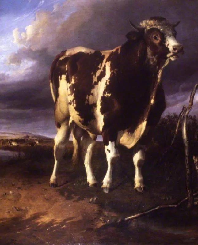 品鉴牛年大吉看看西方油画里那些长方形的牛