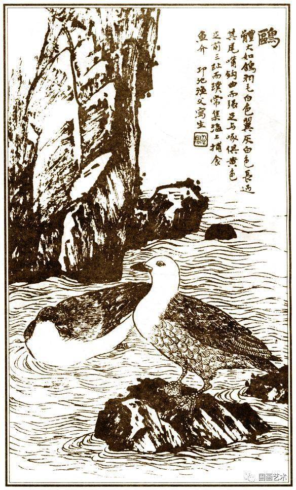 马骀画宝经典欣赏花鸟画谱2