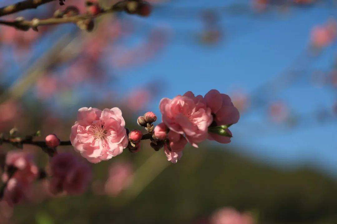 15c8faa492e44b5d895b5930f0e64b40.jpeg