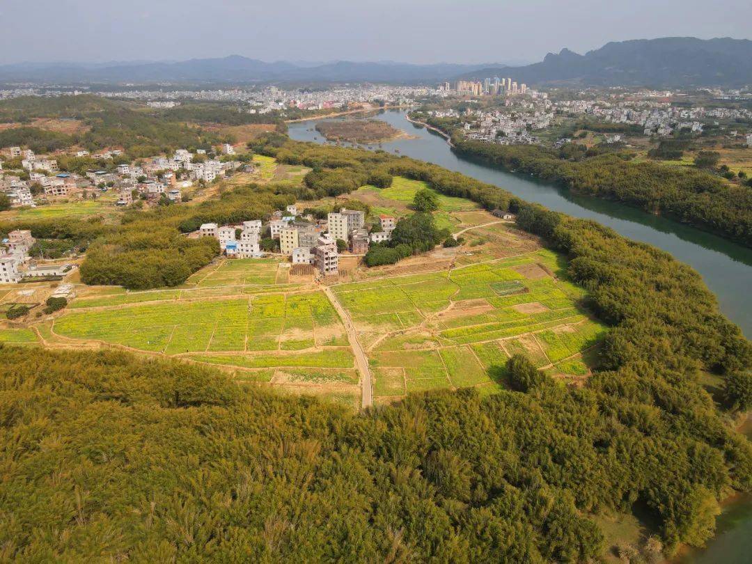 太平镇人口_藤县太平镇枪战照片(3)