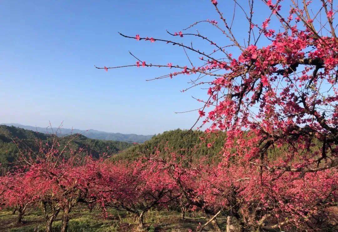 信丰崇仙人口_信丰仙济岩景区图片