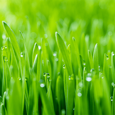 【健康科普】雨水至,养生必看!