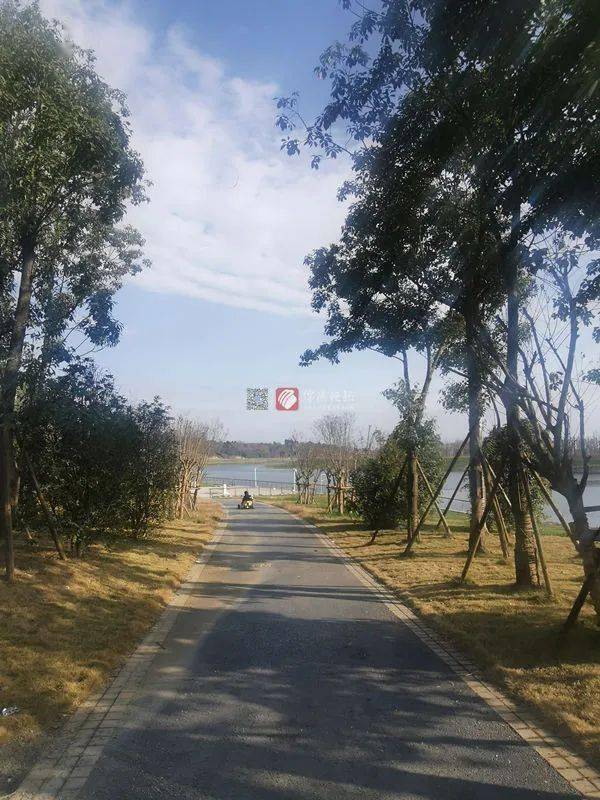 在安昌河整治過程中,河道景觀按照濱水生態公園理念打造,集觀賞,休閒