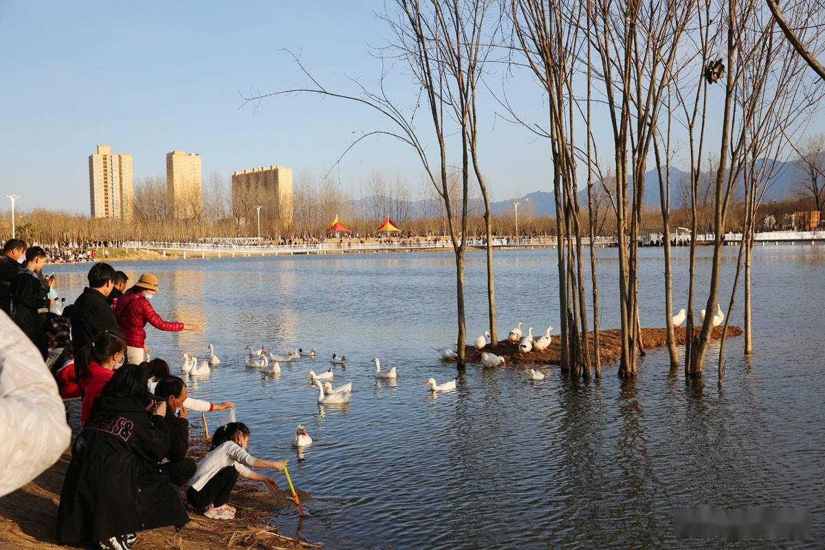 西安这片人工沙滩酷似海边春节假期来玩沙的人真多天天爆满