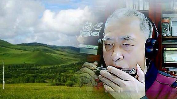 1538《心恋草原》,口琴演奏:寒江雪(王辉教学学员作品选)