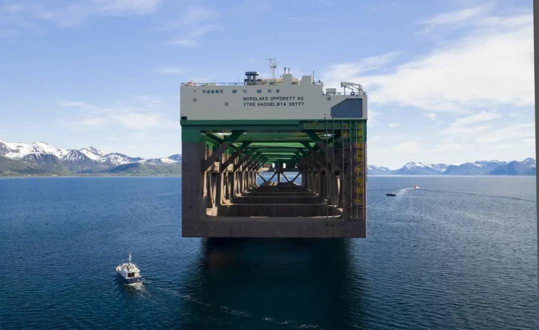 10万吨巨轮深海养大黄鱼质量堪比野生养鱼新时代来了