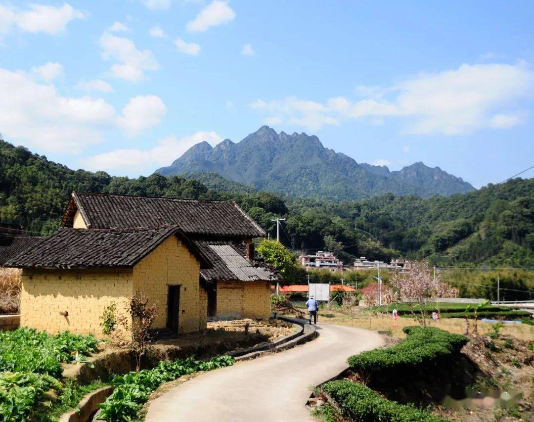 昭平乡村美景魅力大看看文竹的这个靓村