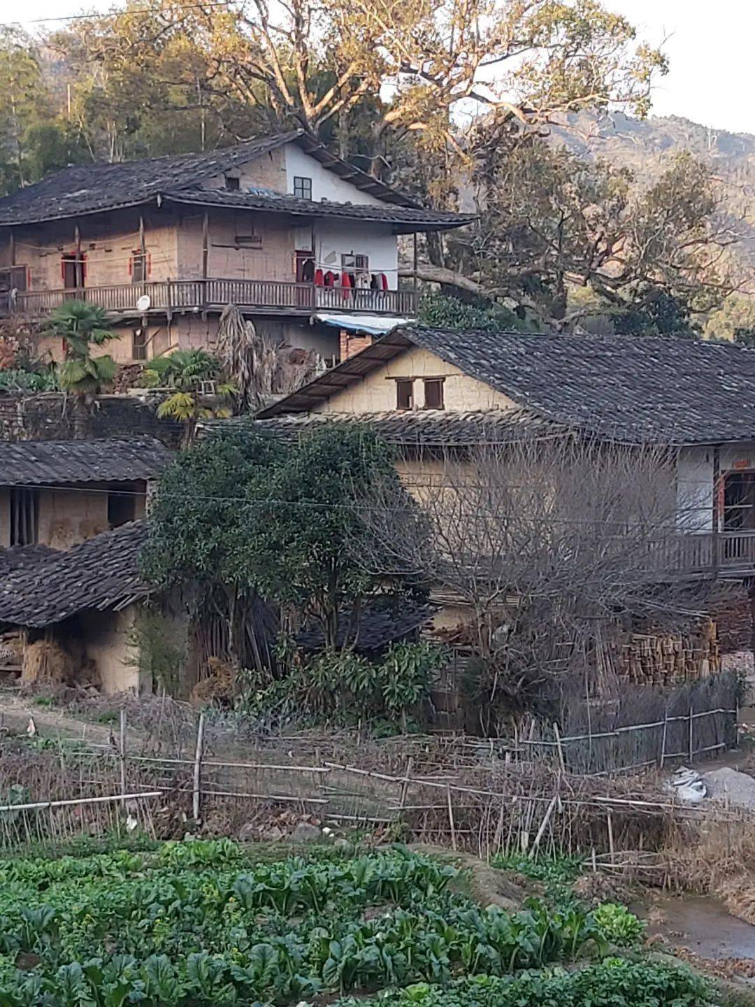 仙游游洋人口_仙游仙水洋图片