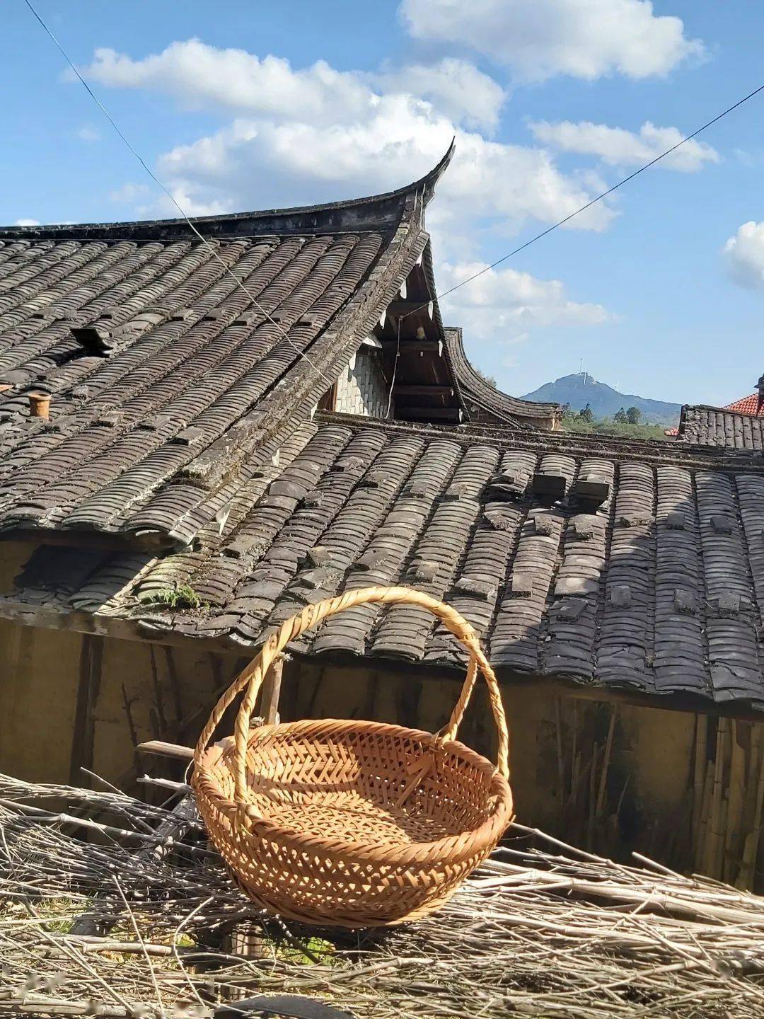 仙游游洋人口_仙游仙水洋图片