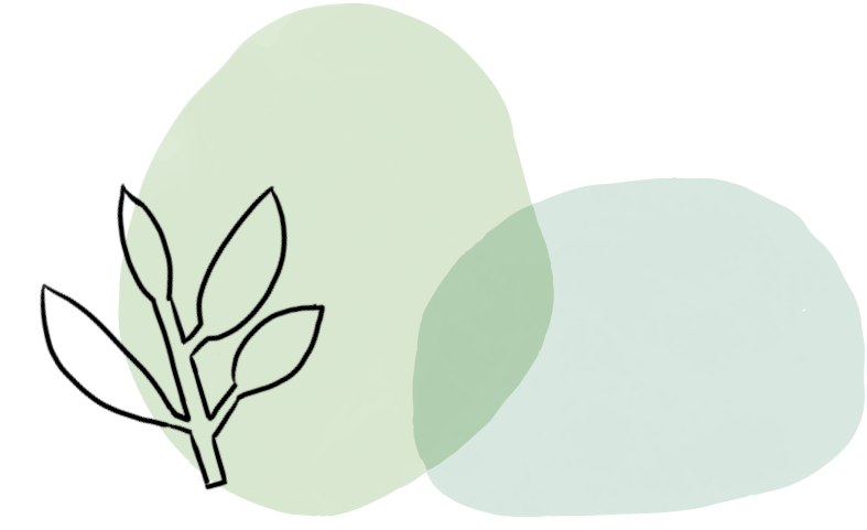 雨水和风猜成语_雨水节气图片