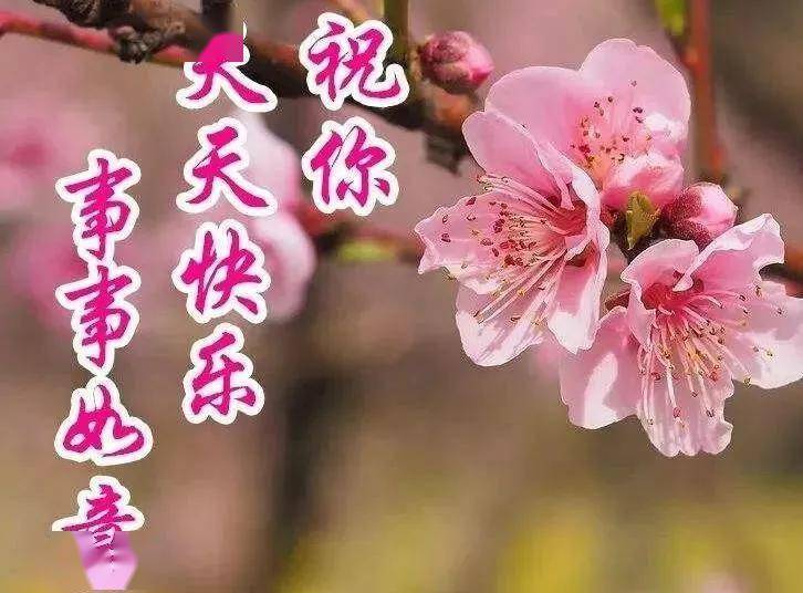 大家早上好图片新款 1cedd5889ee54544b8212f267701bcab.jpeg