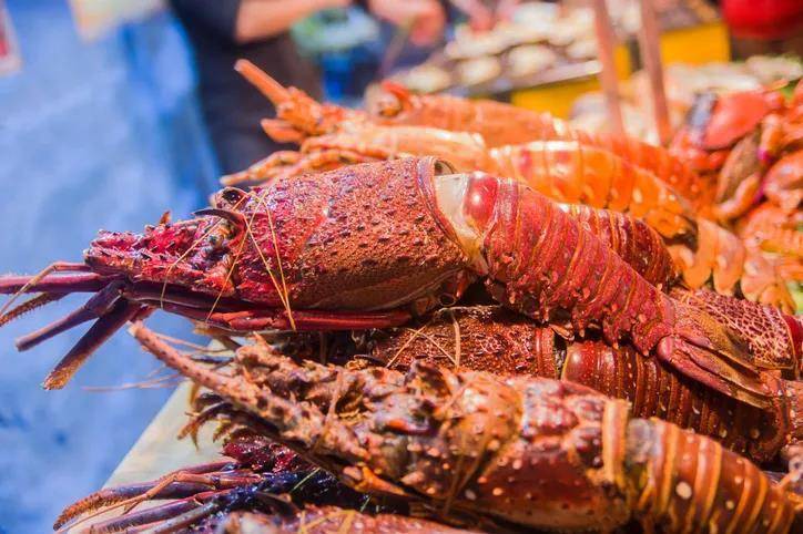 西海岸岩龙虾寻求新的销售市场,自疫情爆发以来,中国停止进口南非龙虾