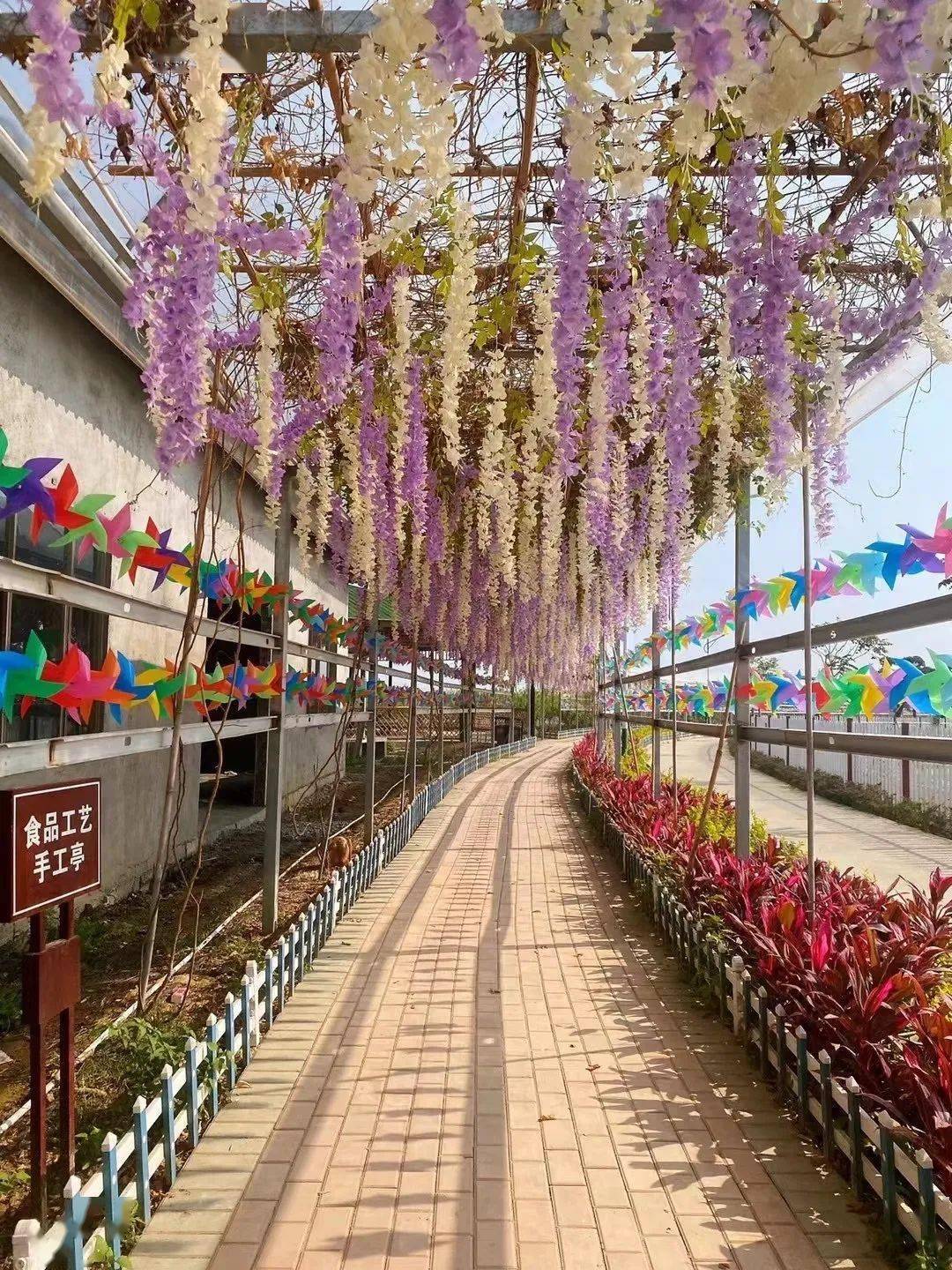 原地过年博罗周边游你去了吗