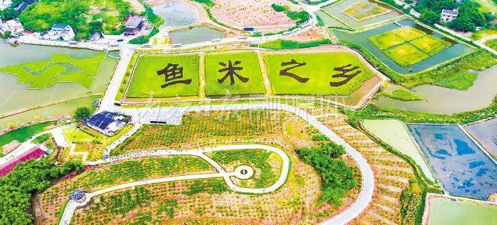 文章配图-2