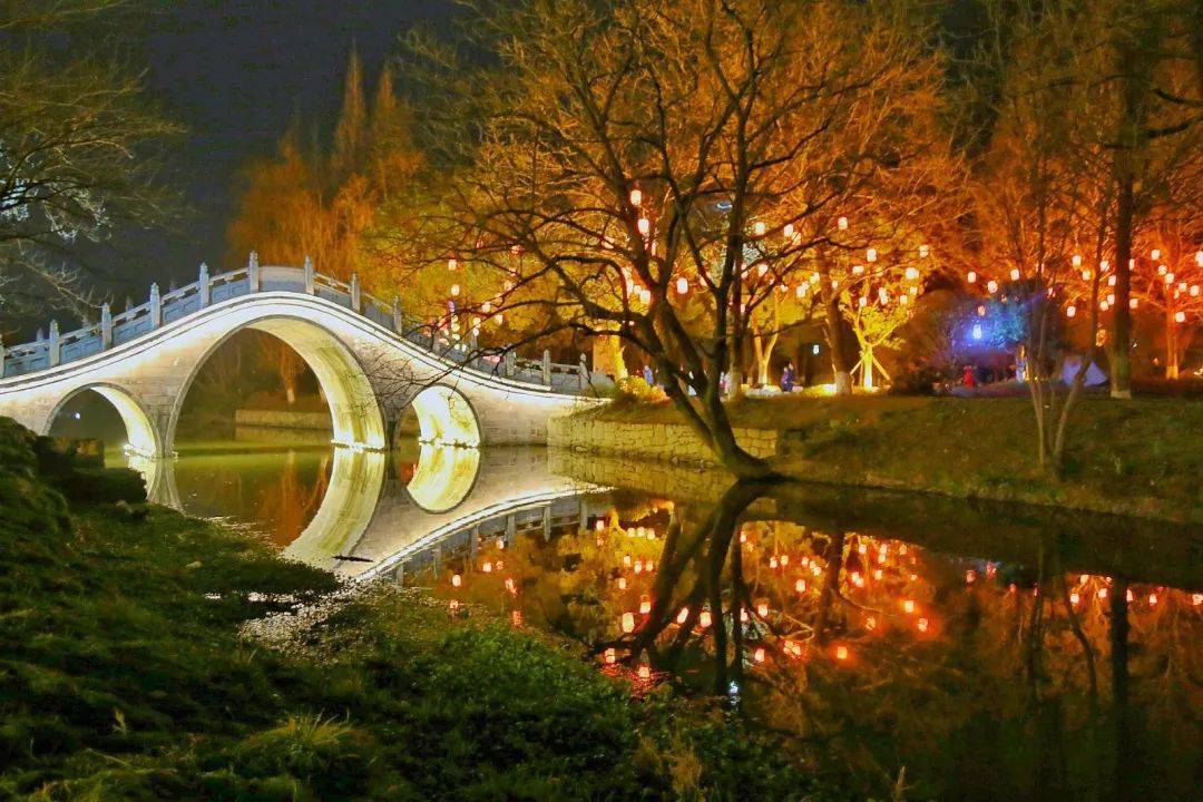 慈城夜景图片