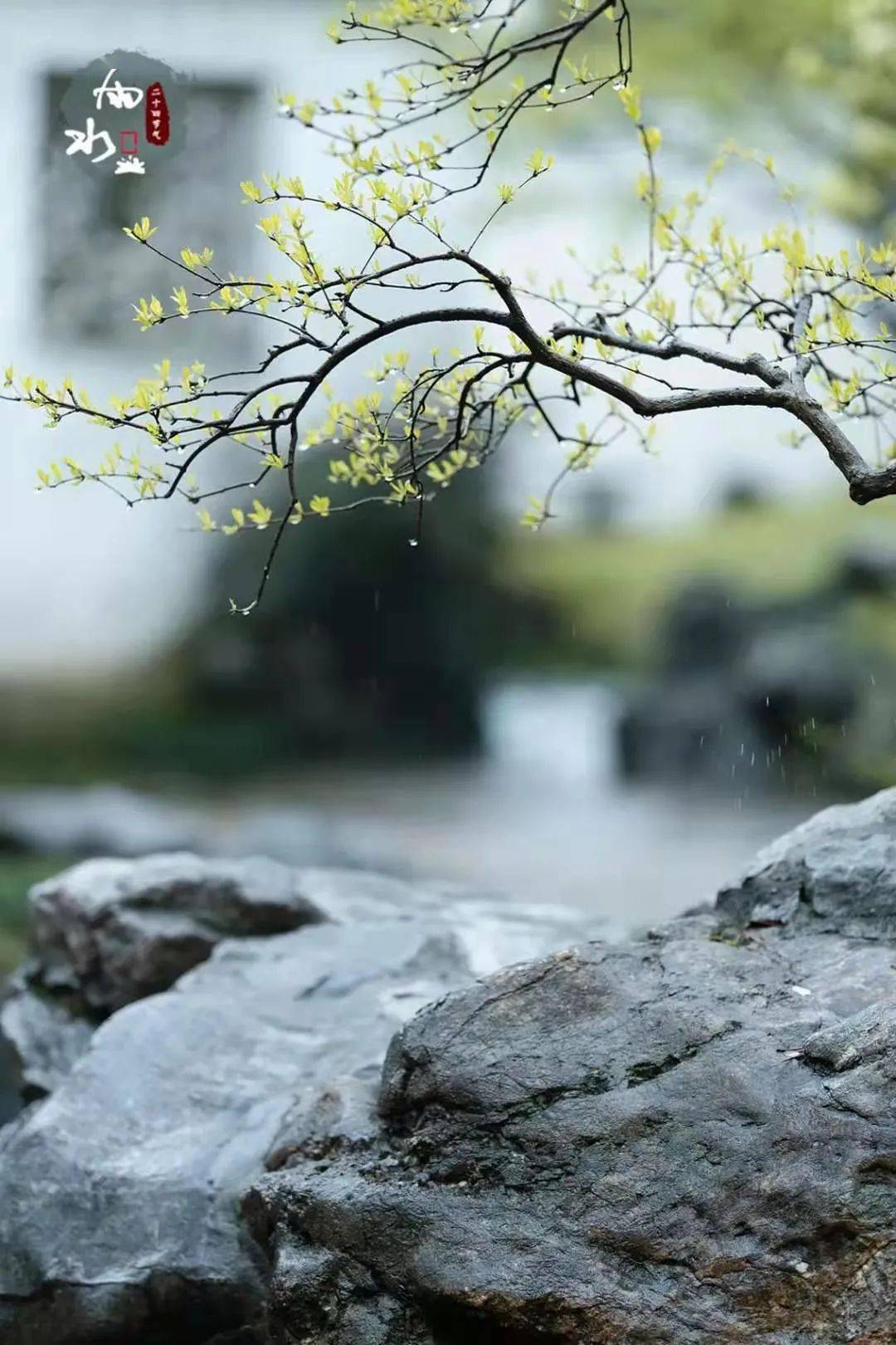 春雨,是温润的,沾衣欲湿杏花雨,吹面不寒杨柳风,东风拂来久别的暖意