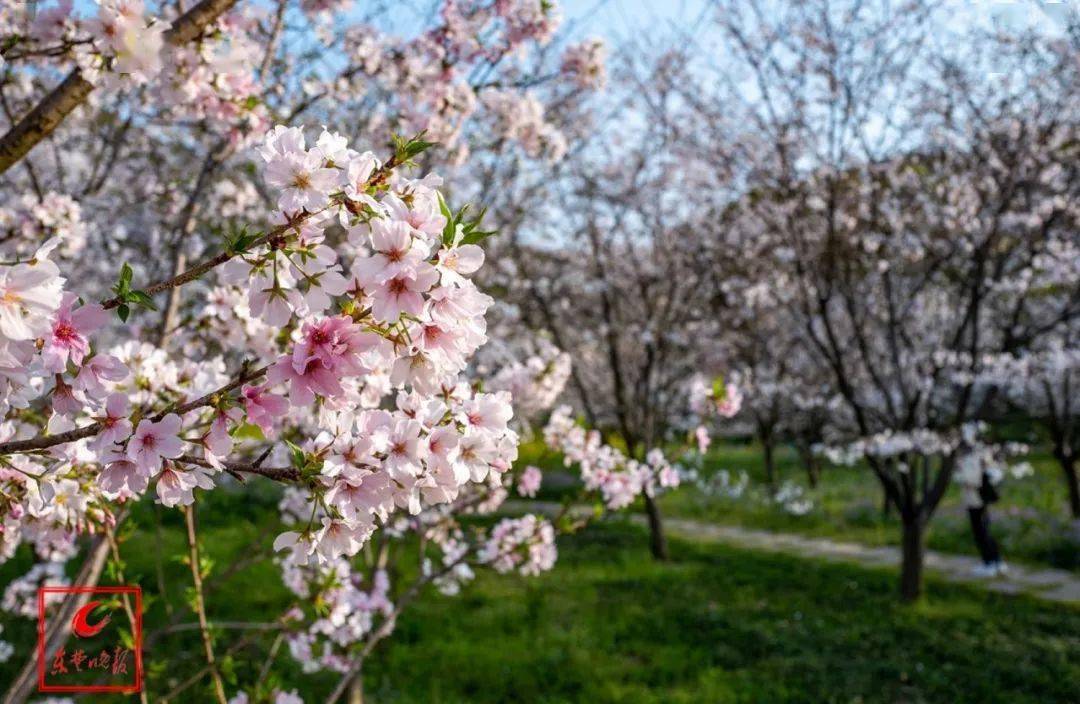 湖廣場黃荊山森林公園大冶殷祖鎮北山······期盼今年無災無虞