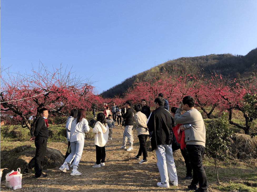 信丰乡镇及人口_信丰中学图片