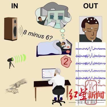 空间|现实版“盗梦空间”！科学家首次与睡梦中的人实时交流