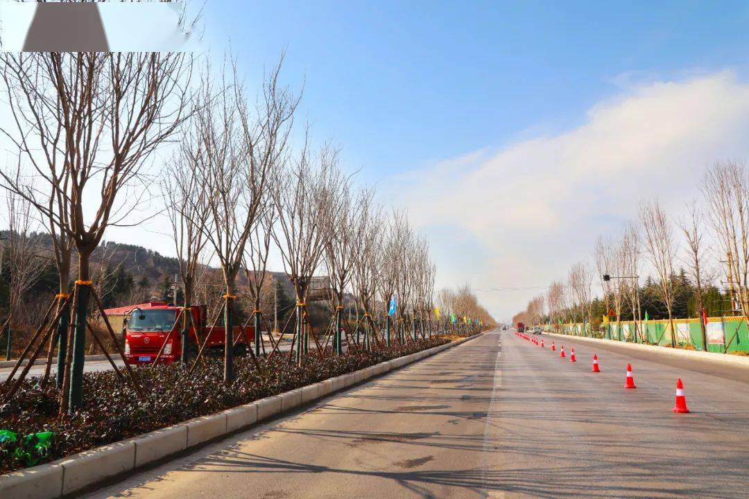 一年之计在于春——仰韶大道绿化景观提升项目全面掀起绿化高潮_施工