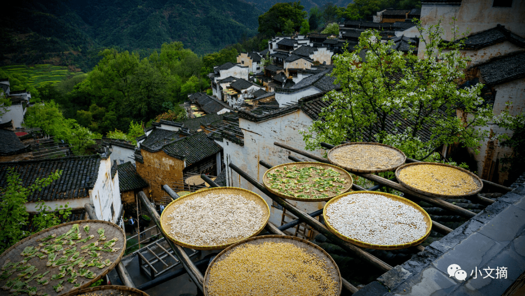 山野幽居简谱_说起杭州的烟雨朦胧,探得九溪一处山野幽居品另一番杭州滋味(2)