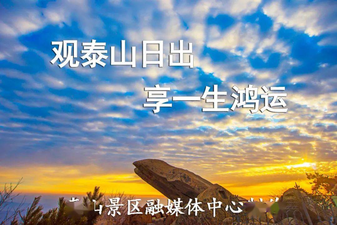 c51e7a79cb7d450a95fc089245dbf0ea.jpeg