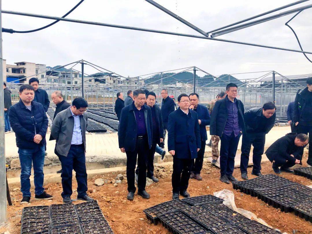 民和县人口多少_民和县(3)