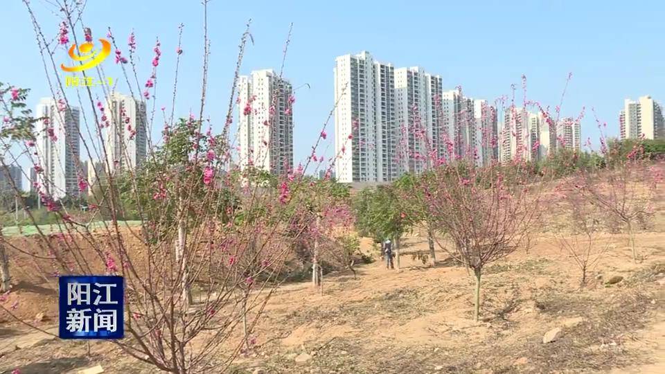 春节期间阳江接待游客逾134万人次