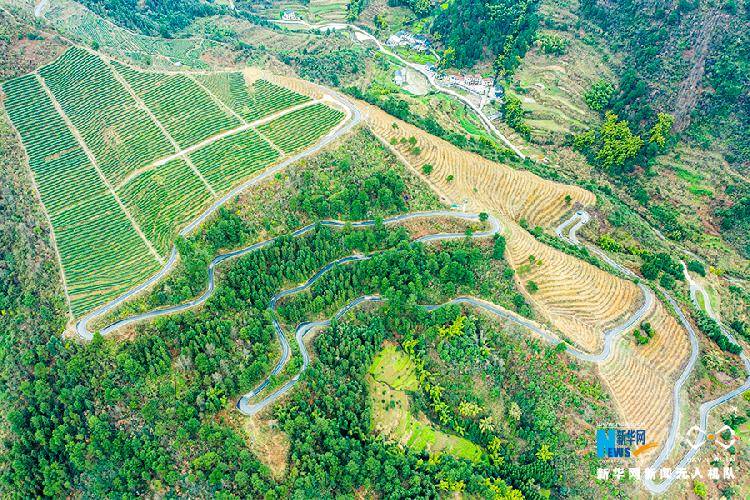 重庆茶园新区经济gdp_郭家沱大桥新开工,江南新城今年还将建一大波项目(3)