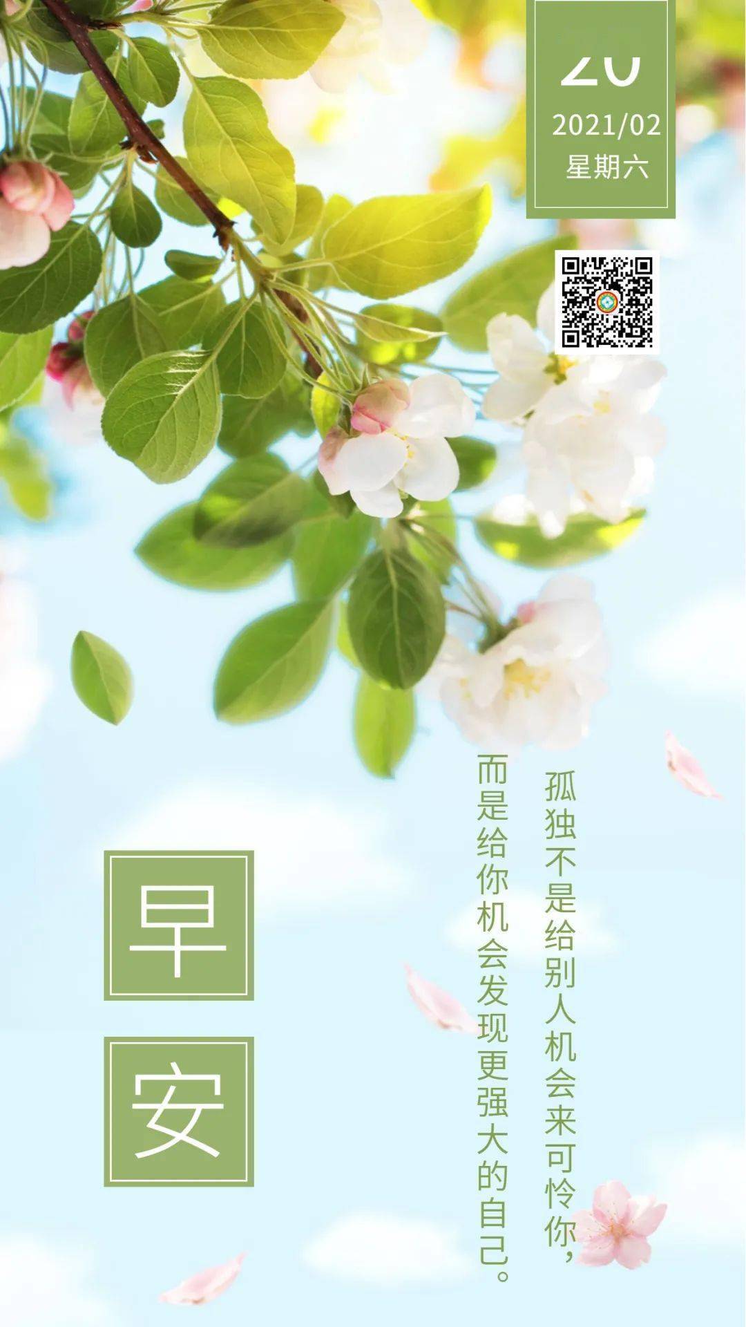 早安日签语录 孤独不是给别人