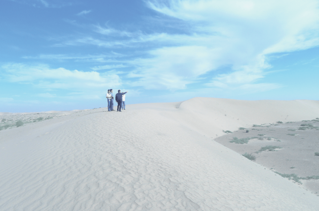 91b320a9a4954757898da1bc8cfb2399.png