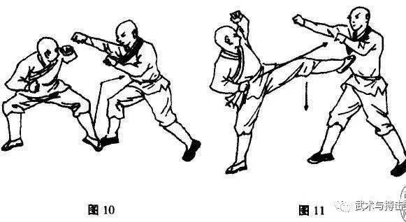 少林绝命腿之迎面短腿和毒蛇串腿