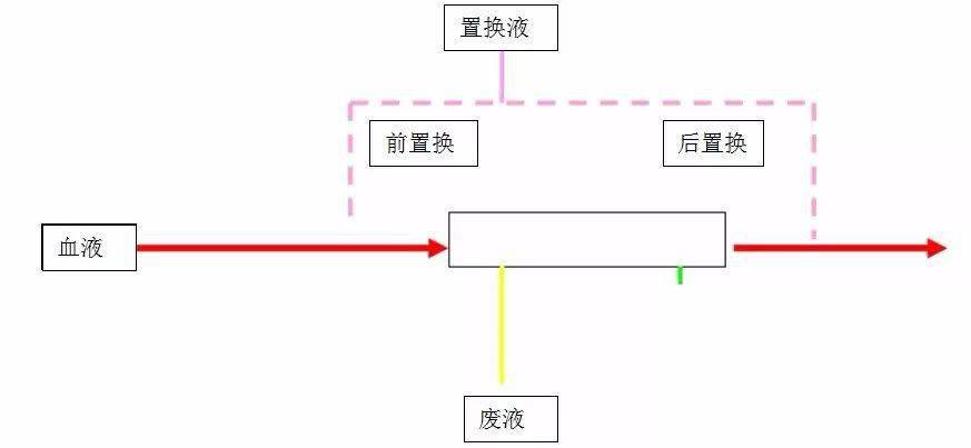 連續性靜脈-靜脈血液透析主要通過彌散的原理清除溶質,也存在少量對流