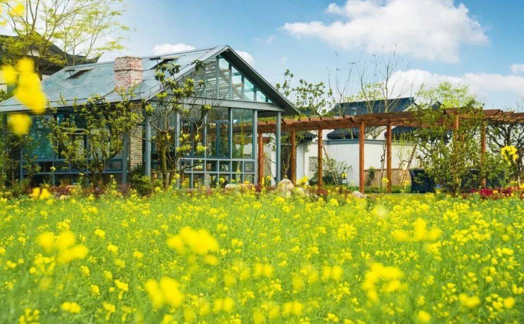 诗酒田园▏春天悄然来临一起田园踏青去限时福利