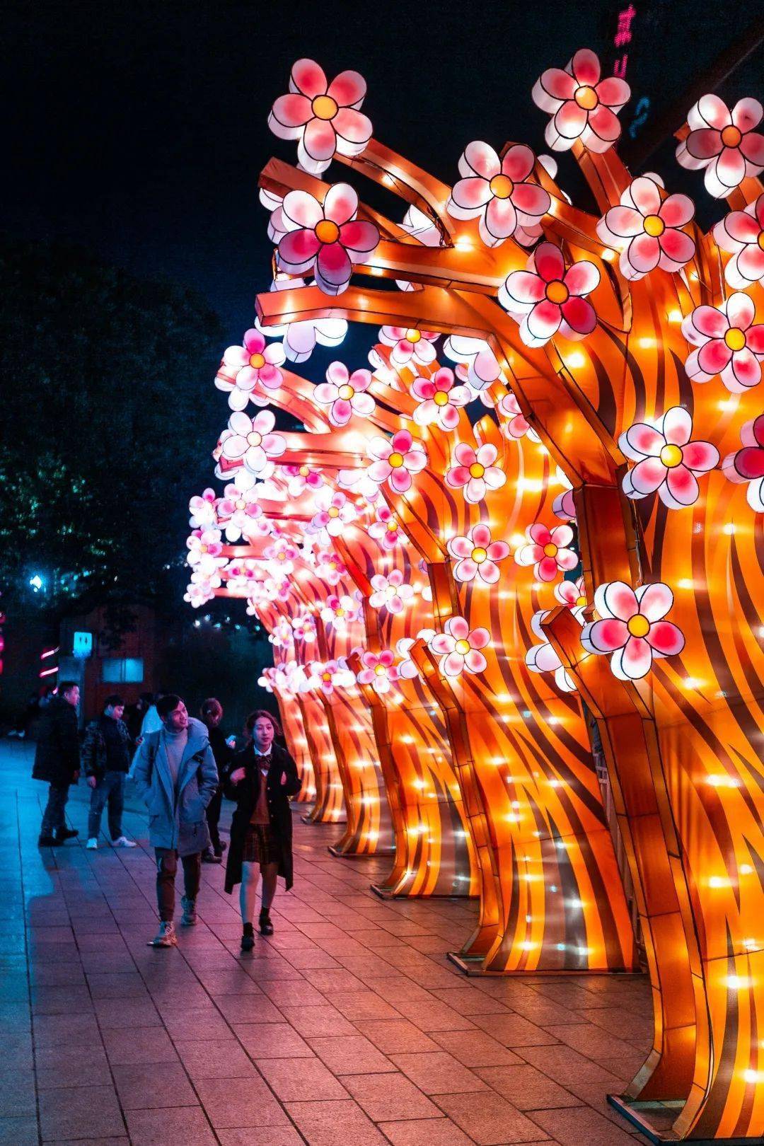 置身花灯海洋,每一帧都美不胜收唯美浪漫的花灯林,独具特色的竹灯海