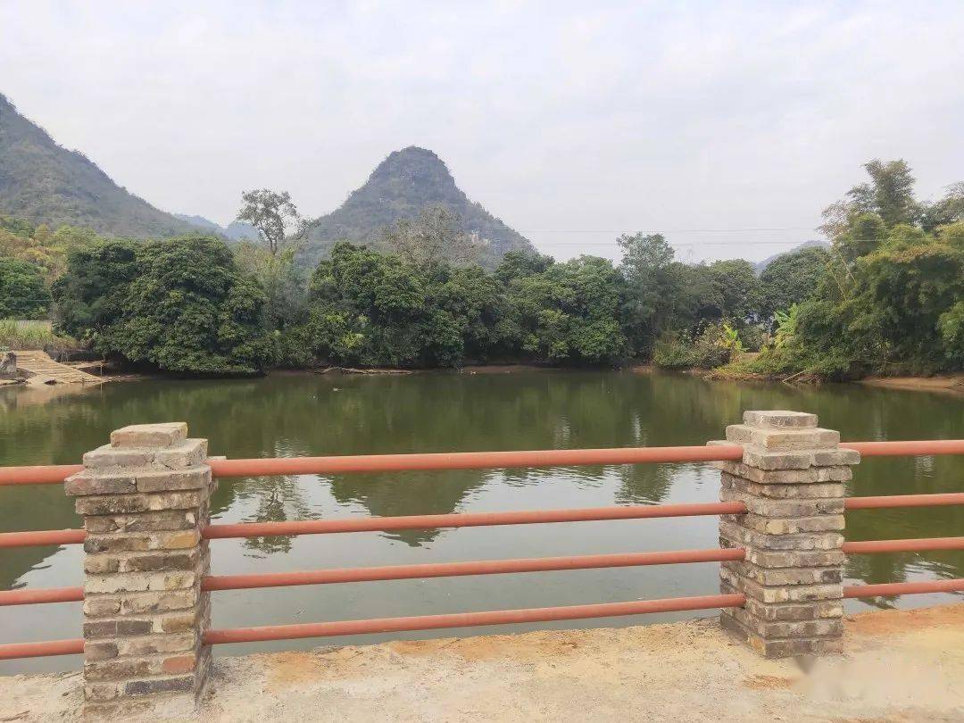 驮卢镇崇王村成为崇左市首个整村入围四个好宜居村庄达标村