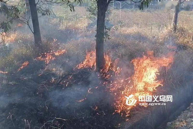 据了解,这9起杂草起火的场所主要集中在室外草坪和山上,绝大多数是