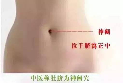 109cae29a01f4b9db26b00d15f88f678.jpeg