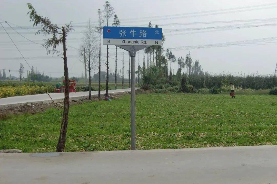 張牛路位於奉賢區莊行鎮,屬鄉級公路北起大葉公路,南至姚存路該路由張