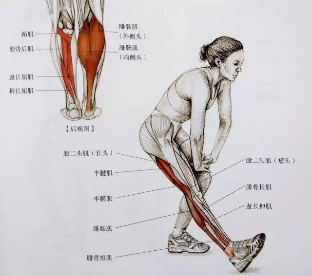 经典21点平台
