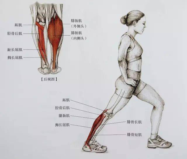 经典21点平台