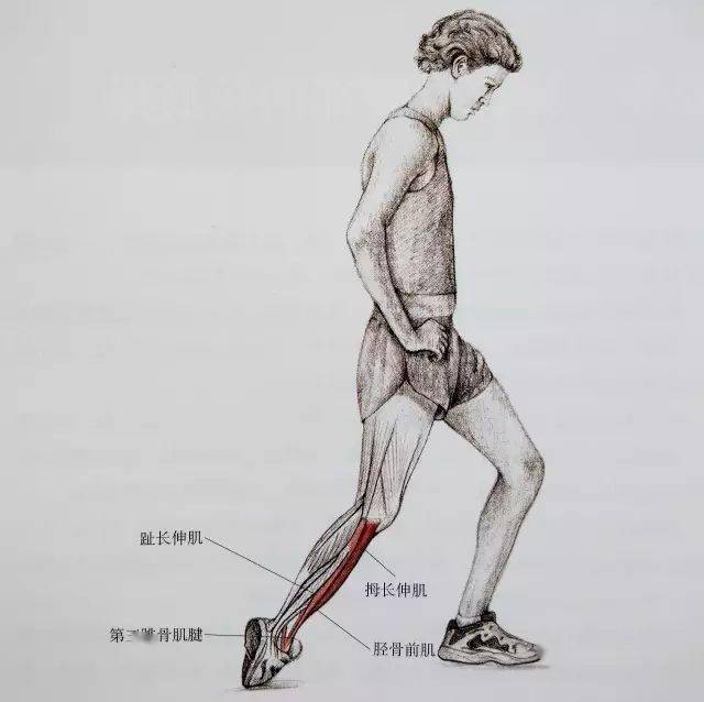 经典21点平台