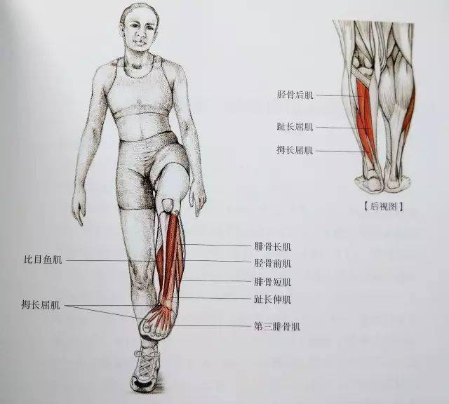 经典21点平台