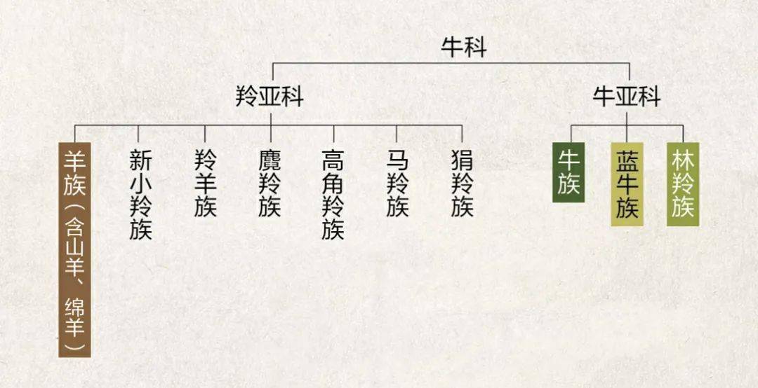 开奖第一波看看有你没