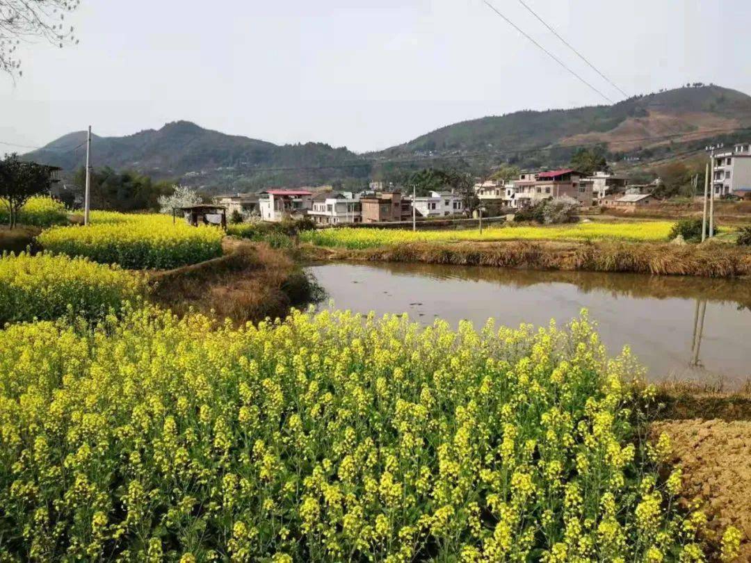 山坪村人口_人口普查