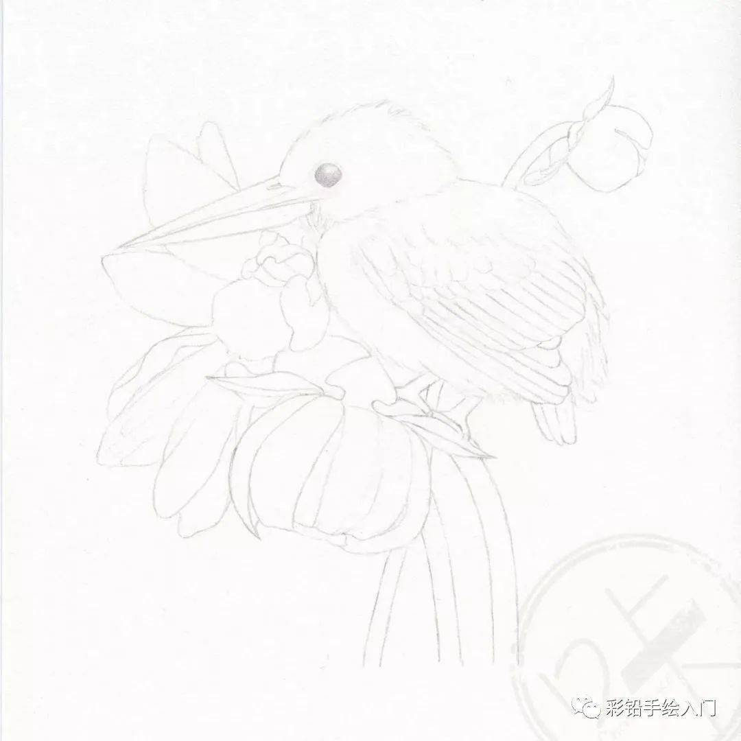 如果你的基础太薄弱,不建议自己瞎摸索,可以关注公众号:彩铅手绘入门