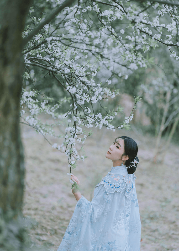 皇叔梨花白隐藏章节 皇叔 大风刮过 自媒体热点