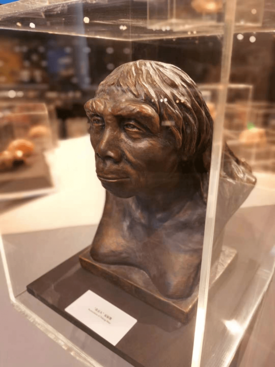 点燃人类文明曙光北京人生活图景